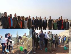 Mut'ta 500 fidan toprakla buluturuldu